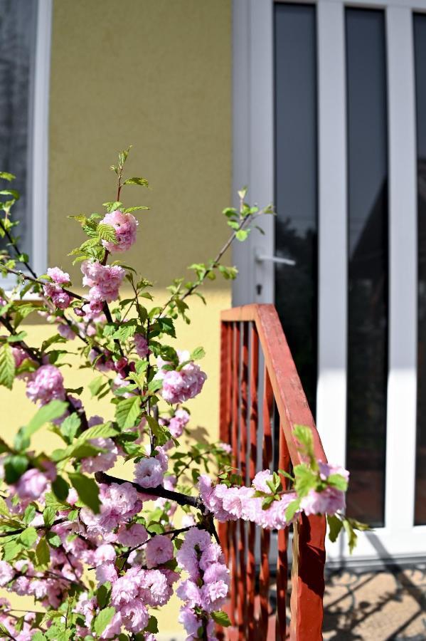 Angela Vendeghaz Hotel Tokaj Buitenkant foto