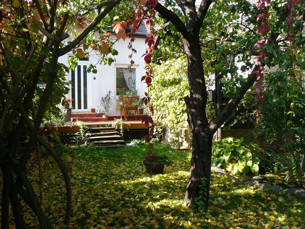 Angela Vendeghaz Hotel Tokaj Buitenkant foto