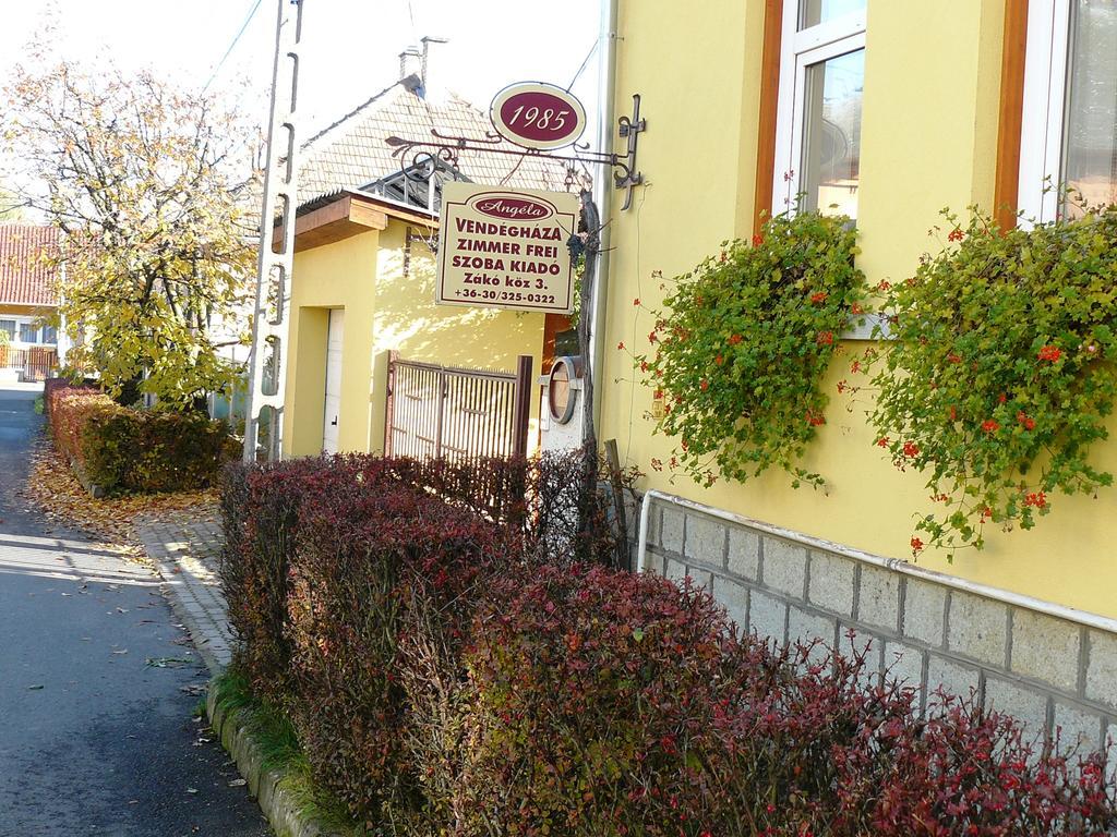 Angela Vendeghaz Hotel Tokaj Buitenkant foto