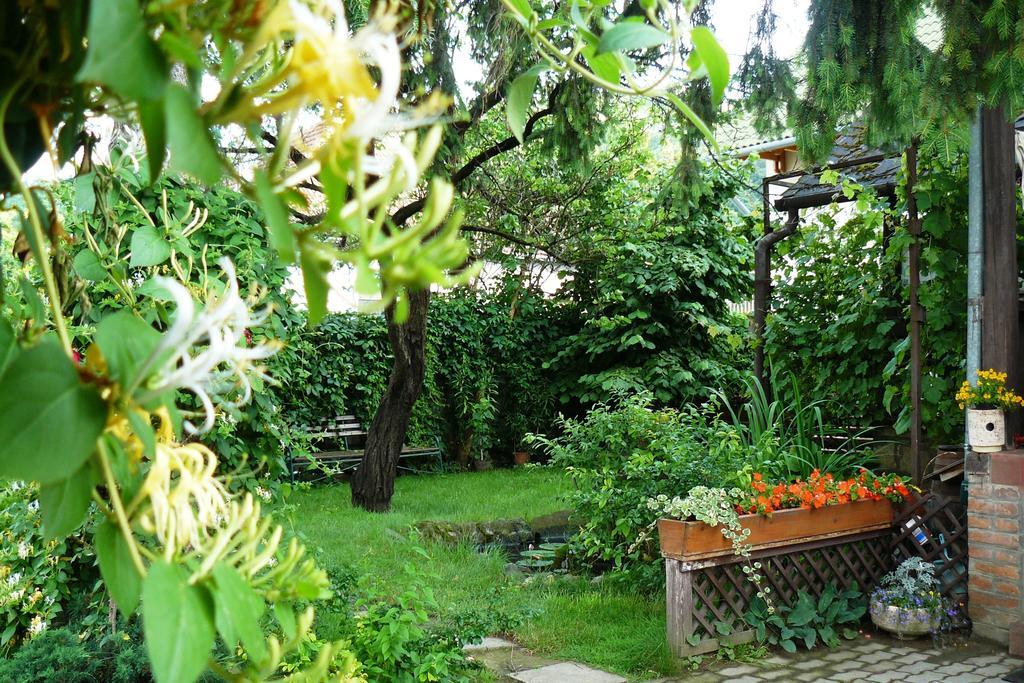 Angela Vendeghaz Hotel Tokaj Buitenkant foto